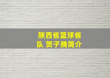 陕西省篮球省队 贺子腾简介